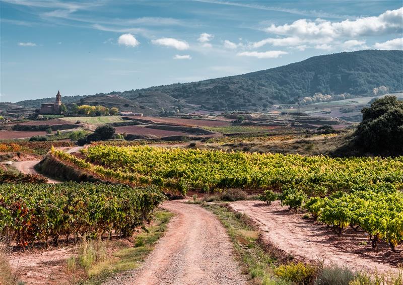 Let's talk about Rioja!