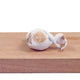 White Chocolate Praline, Crea 20g