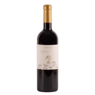 El Canto del Angel Ribera del Duero, Virgen A.