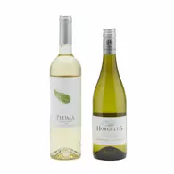 Connoisseur Contemporary Whites Pair